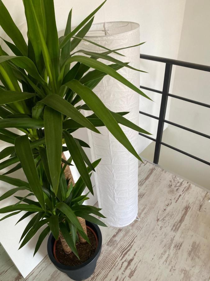 Hisa Megiclinic - Apartments & Healing Center Kobarid Esterno foto