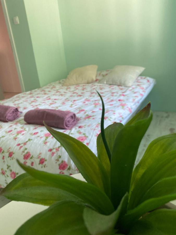 Hisa Megiclinic - Apartments & Healing Center Kobarid Esterno foto