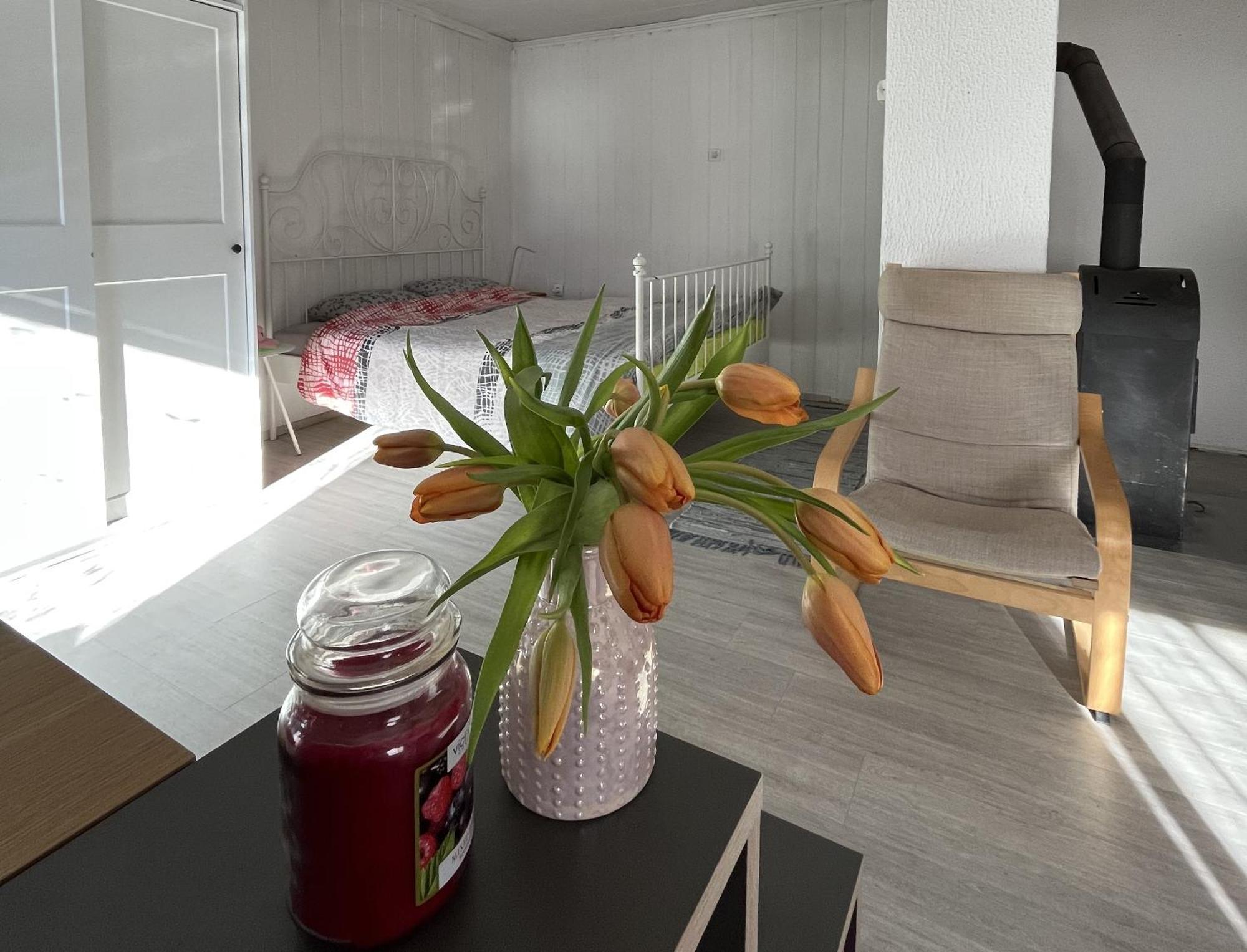 Hisa Megiclinic - Apartments & Healing Center Kobarid Esterno foto
