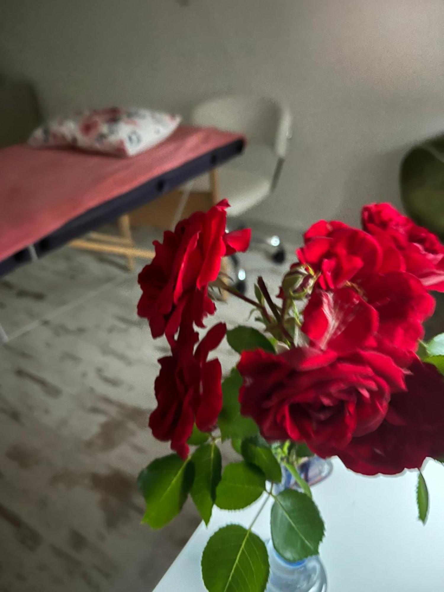 Hisa Megiclinic - Apartments & Healing Center Kobarid Esterno foto